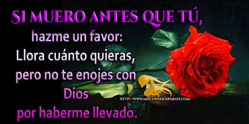 Si muero antes que tu, hermosa reflexión.