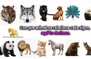 Con que animal se relaciona cada signo, aquí te decimos.