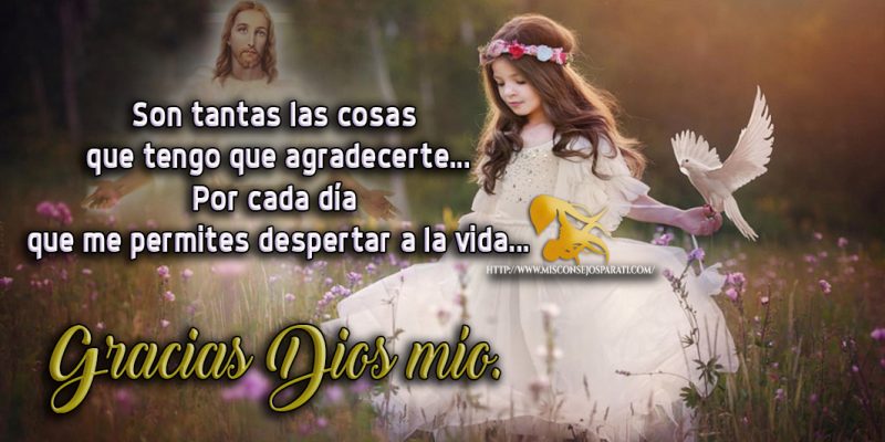 Gracias Señor por lo que tengo.
