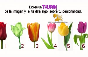 Escoge un tulipán de la imagen y  el te dirá algo  sobre tu personalidad.