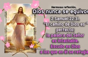 Hermosa reflexión,  Dios nunca se equivoca.