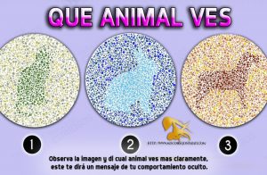 Observa la imagen y di cual animal ves mas claramente, este te dirá un mensaje de tu comportamiento oculto.