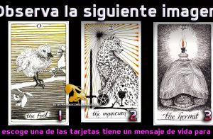 Observa la siguiente imagen y escoge una de las tarjetas tiene un mensaje de vida para ti.