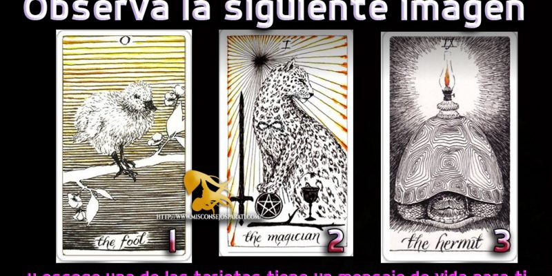 Observa la siguiente imagen y escoge una de las tarjetas tiene un mensaje de vida para ti.
