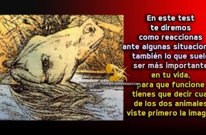 Que animal ves primero.