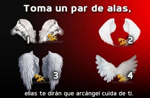 Toma un par de alas,  ellas te dirán que arcángel cuida de ti.