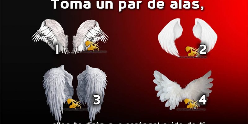 Toma un par de alas,  ellas te dirán que arcángel cuida de ti.