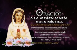 Rosa Mística, elegida por Dios para ser Madre de Jesús