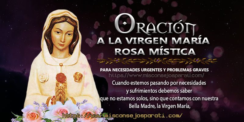 Rosa Mística, elegida por Dios para ser Madre de Jesús