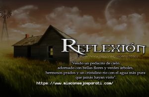 Vendo un pedacito de cielo. Reflexión