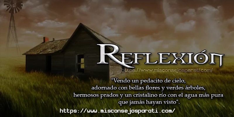 Vendo un pedacito de cielo. Reflexión
