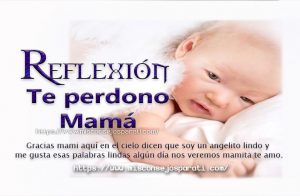 Te perdono mami