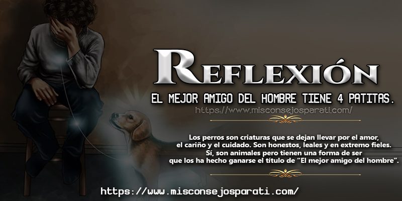 El mejor amigo del hombre tiene cuatro patitas.