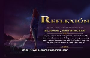 El bello amor, más sincero