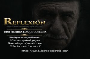Unos siempre cosecha lo que siembra.