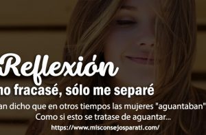 Yo no fracase, yo sólo me separé.