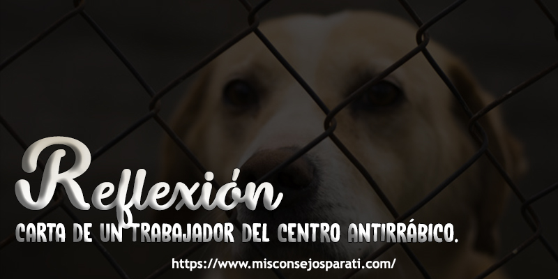 Centro antirrabico, Reflexión.