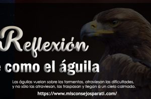 Se como un águila.