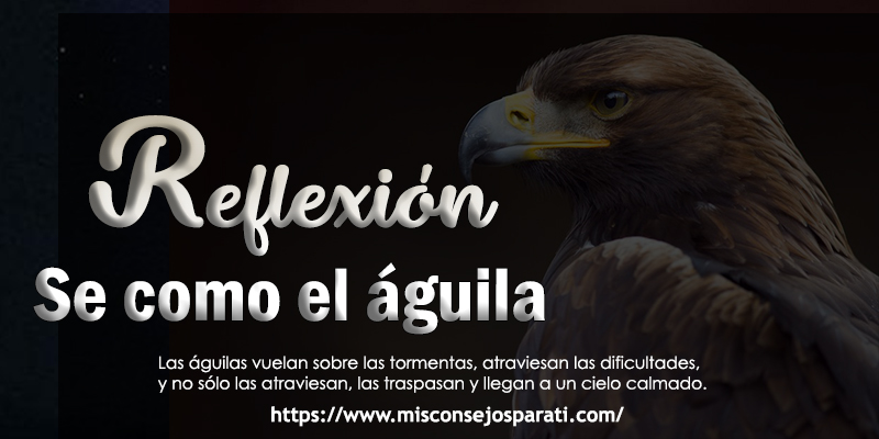 Se como un águila.