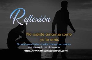 No supiste amarme como yo te amé.