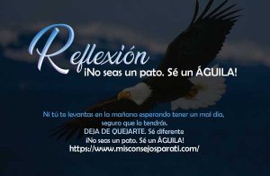 ¡No seas un pato. Sé un Águila!
