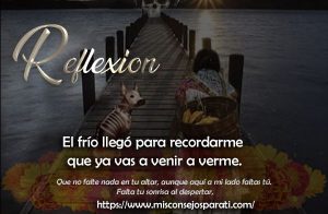 El frío llegó para recordarme que ya vas a venir a verme.