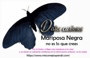 Mariposa Negra, no es lo que crees.