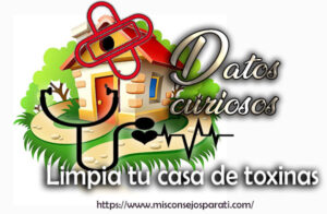 Limpia tu casa de toxinas