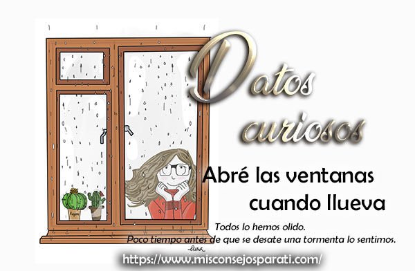Abre las ventanas cuando llueva.