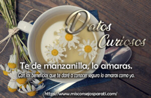 Te de manzanilla, lo amaras.