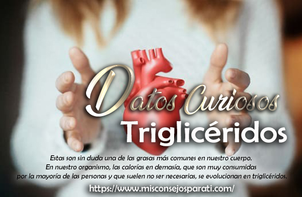Triglicéridos