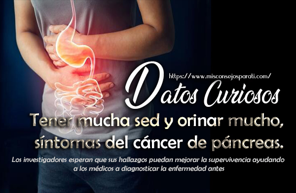 Tener mucha sed y orinar mucho, síntomas del cáncer de páncreas.