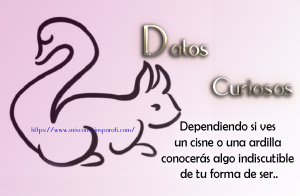 Dependiendo si ves un cisne o una ardilla conocerás algo indiscutible de tu forma de ser.