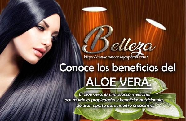 Conoce los beneficios del aloe vera.