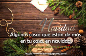 Algunas cosas que están de más en tu casa, en navidad.