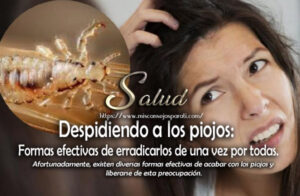 Despidiendo a los piojos: Formas efectivas de erradicarlos de una vez por todas.