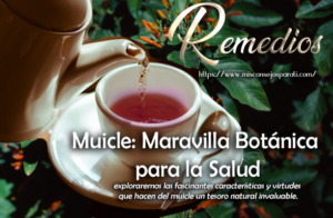 Muicle: Maravilla Botánica para la Salud