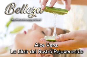Aloe Vera: La Elixir del Rostro Rejuvenecido