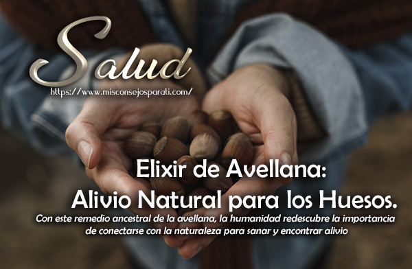 Elixir de Avellana: Alivio Natural para los Huesos.