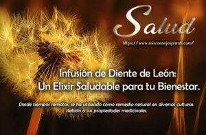Infusión de Diente de León: Un Elixir Saludable para tu Bienestar.